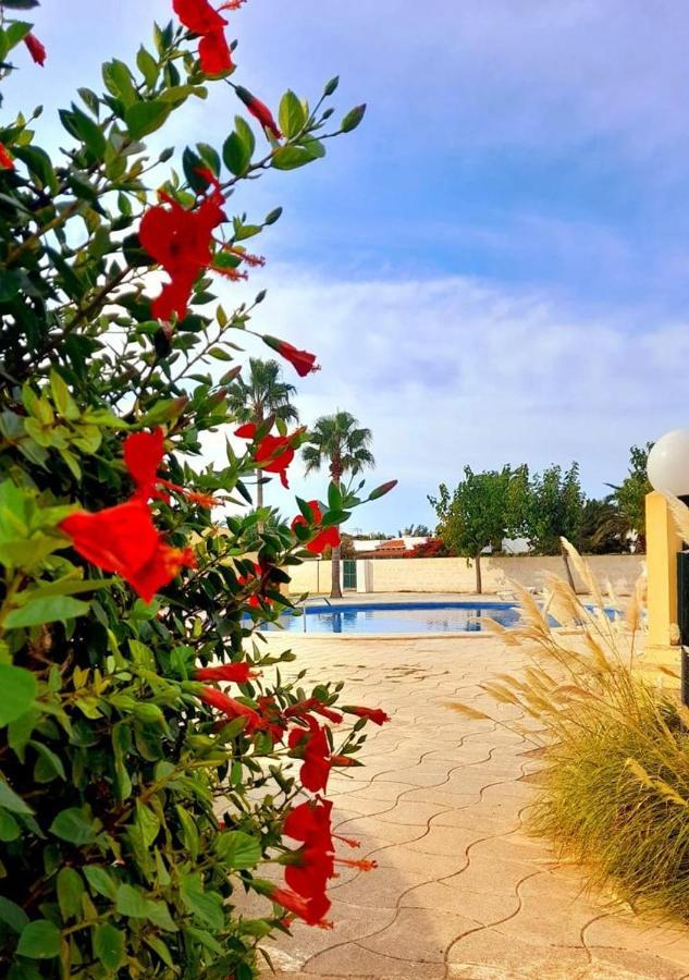 Apartamento Con Piscina En Ciudadela, Cala En Blanes Apartment Cala'N Blanes  Ngoại thất bức ảnh